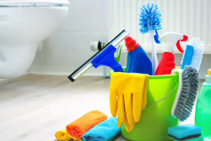 Messie Reinigung Rottenburg Am Neckar